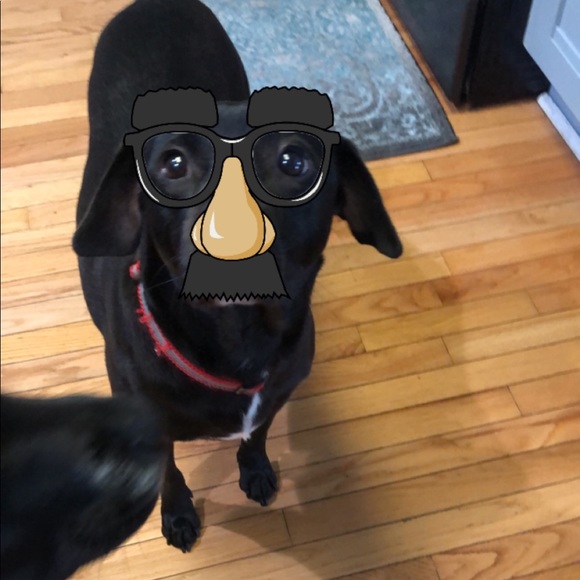 Meet your Posher, Kara - Picture 4 of 7